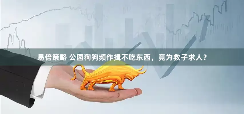易倍策略 公园狗狗频作揖不吃东西，竟为救子求人？